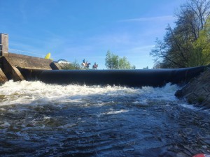 WhatsApp Image 2021-05-10 at 05.43.16.jpeg